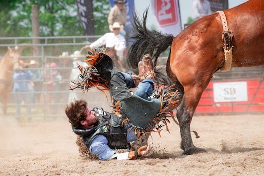 Abogados en Asesor.Legal | Asesoría legal para Abogados expertos en reclamaciones deportivas contra Puma Abogados en Asesor.Legal abogados expertos en reclamaciones deportivas contra puma 1