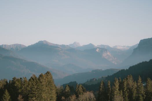 Abogados en Asesor.Legal | Asesoría legal para Abogados medioambientales en Valencia para defensa en expedientes sancionadores Abogados en Asesor.Legal abogados medioambientales en valencia para defensa en expedientes sancionadores 1