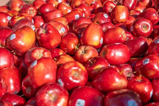 Abogados en Asesor.Legal | Asesoría legal para Abogados para reclamar a Danone por intoxicación alimentaria Abogados en Asesor.Legal abogados para reclamar a danone por intoxicacion alimentaria 3