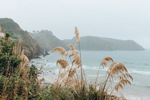 Abogados en Asesor.Legal | Asesoría legal para Abogados pensión de viudedad en Madrid Abogados en Asesor.Legal abogados pension de viuedad 2