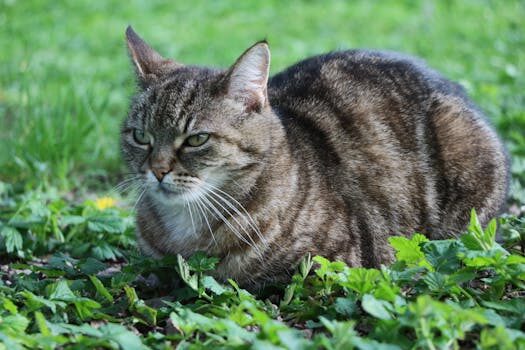 Abogados en Asesor.Legal | Asesoría legal para Abogados violencia de genero y abogados violencia domestica en Santander Abogados en Asesor.Legal abogados violencia de genero abogados violencia domestica santander 2
