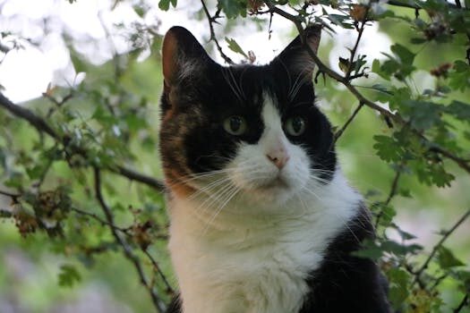 Abogados en Asesor.Legal | Asesoría legal para Abogados violencia de genero y abogados violencia domestica en Santander Abogados en Asesor.Legal abogados violencia de genero abogados violencia domestica santander 3