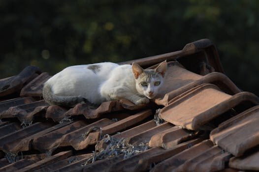 Abogados en Asesor.Legal | Asesoría legal para Abogados violencia de genero y abogados violencia domestica en Santander Abogados en Asesor.Legal abogados violencia de genero abogados violencia domestica santander 4