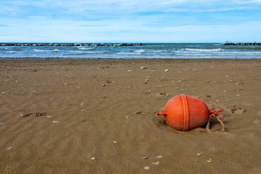 Abogados en Asesor.Legal bufetes maritimos en valencia para litigios en contratos de fletamento 2