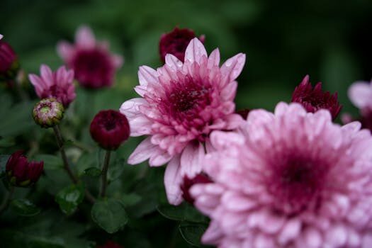 Abogados en Asesor.Legal como reclamar a amazon fresh por pedido incompleto 2