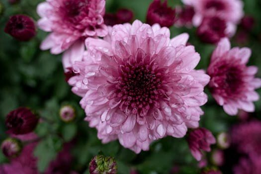 Abogados en Asesor.Legal como reclamar a amazon fresh por pedido incompleto 4