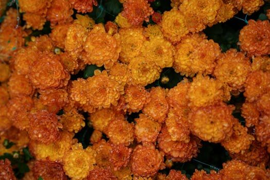 Abogados en Asesor.Legal como reclamar a amazon fresh por pedido incompleto 5