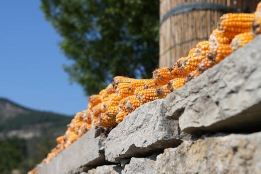 Abogados en Asesor.Legal | Asesoría legal para Cómo reclamar a Burger King por comida en mal estado Abogados en Asesor.Legal como reclamar a burger king por comida en mal estado 4