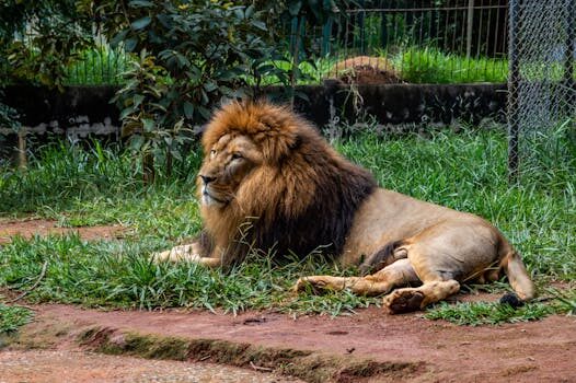 Abogados en Asesor.Legal | Asesoría legal para Cómo reclamar a Burger King por pedido cancelado Abogados en Asesor.Legal como reclamar a burger king por pedido cancelado 2