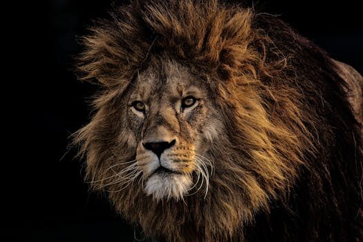 Abogados en Asesor.Legal | Asesoría legal para Cómo reclamar a Burger King por pedido cancelado Abogados en Asesor.Legal como reclamar a burger king por pedido cancelado 3