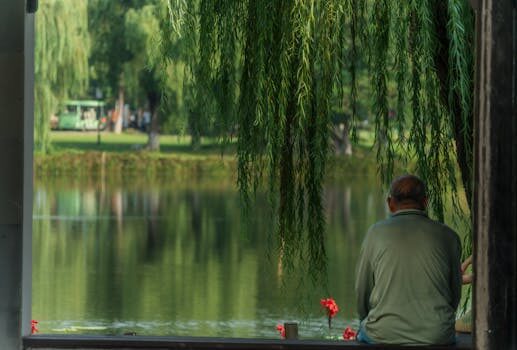 Abogados en Asesor.Legal | Asesoría legal para Cómo reclamar a Caser por filtraciones o daños por agua Abogados en Asesor.Legal como reclamar a caser por filtraciones o danos por agua 2