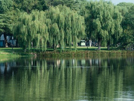 Abogados en Asesor.Legal | Asesoría legal para Cómo reclamar a Caser por filtraciones o daños por agua Abogados en Asesor.Legal como reclamar a caser por filtraciones o danos por agua 3
