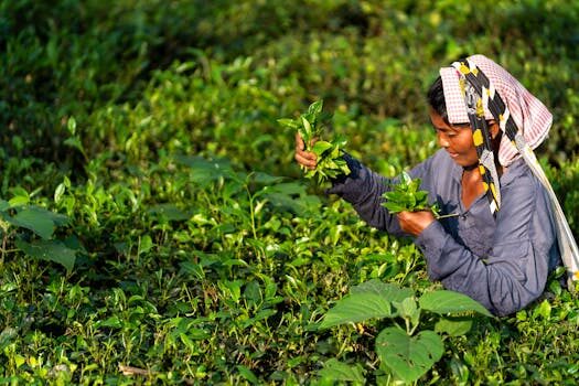Abogados en Asesor.Legal | Asesoría legal para Cómo reclamar a Cetelem por acoso telefónico de cobros Abogados en Asesor.Legal como reclamar a cetelem por acoso telefonico de cobros 1