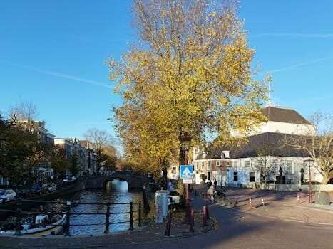 Abogados en Asesor.Legal como reclamar a converse por error de envio 3