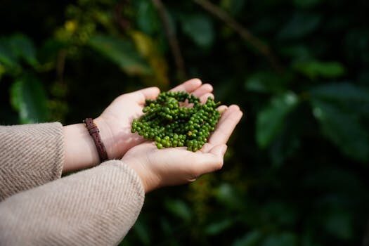 Abogados en Asesor.Legal | Asesoría legal para Cómo reclamar a Dia por intoxicación alimentaria Abogados en Asesor.Legal como reclamar a dia por intoxicacion alimentaria 1