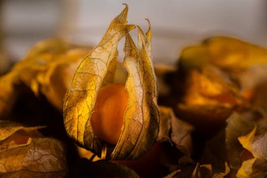 Abogados en Asesor.Legal | Asesoría legal para Cómo reclamar a Dia por intoxicación alimentaria Abogados en Asesor.Legal como reclamar a dia por intoxicacion alimentaria 3