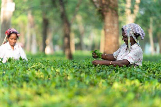 Abogados en Asesor.Legal | Asesoría legal para Cómo reclamar a Heineken por producto contaminado Abogados en Asesor.Legal como reclamar a heineken por producto contaminado 5