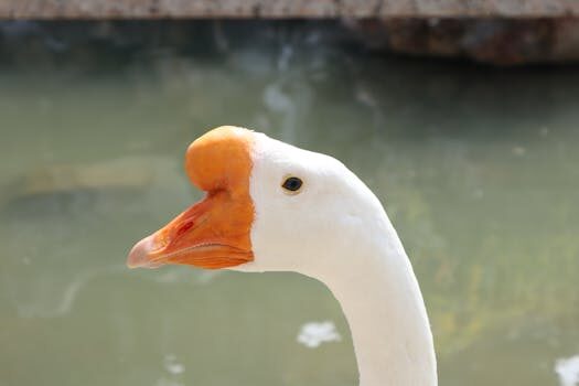 Abogados en Asesor.Legal como reclamar a jazztel por cobro indebido tras baja 1