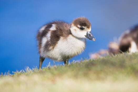 Abogados en Asesor.Legal como reclamar a jazztel por cobro indebido tras baja 2