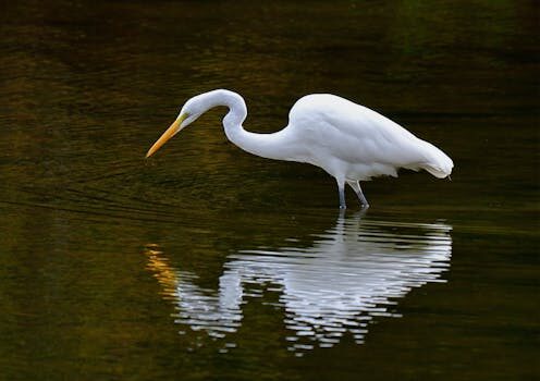 Abogados en Asesor.Legal como reclamar a jazztel por cobro indebido tras baja 3