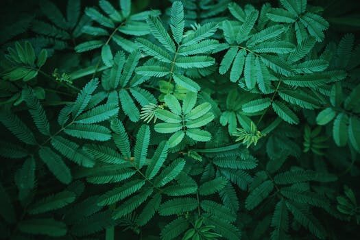 Abogados en Asesor.Legal como reclamar a lush por productos defectuosos 1