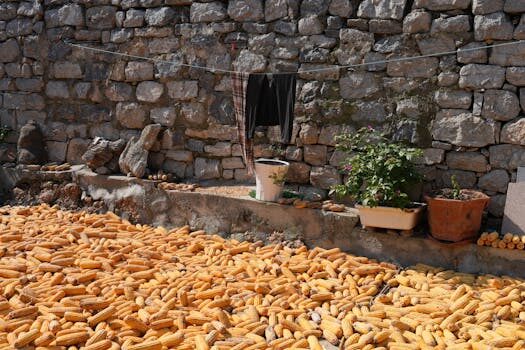 Abogados en Asesor.Legal como reclamar a mercadona por alimentos defectuosos 4