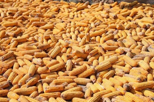 Abogados en Asesor.Legal como reclamar a mercadona por intoxicacion alimentaria 4