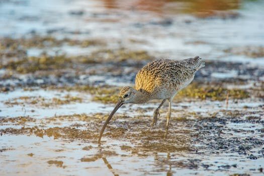 Abogados en Asesor.Legal | Asesoría legal para Cómo reclamar a Naturgy por facturas erróneas Abogados en Asesor.Legal como reclamar a naturgy por facturas erroneas 4