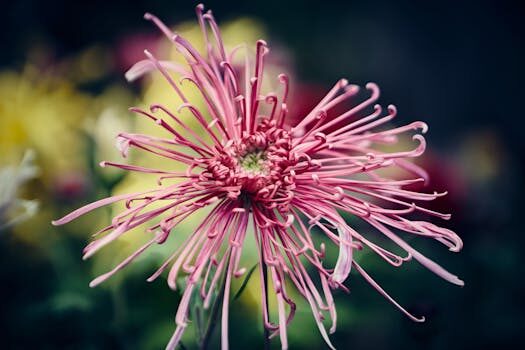 Abogados en Asesor.Legal como reclamar a philips hue por luces defectuosas 4