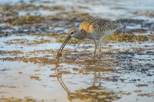 Abogados en Asesor.Legal | Asesoría legal para Cómo reclamar a Repsol por cobros indebidos de gas Abogados en Asesor.Legal como reclamar a repsol por cobros indebidos de gas 2