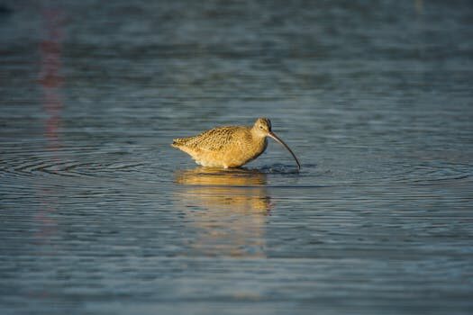 Abogados en Asesor.Legal | Asesoría legal para Cómo reclamar a Repsol por cobros indebidos de gas Abogados en Asesor.Legal como reclamar a repsol por cobros indebidos de gas 3
