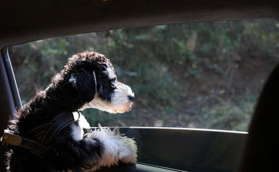 Abogados en Asesor.Legal como reclamar a seat por averia recurrente 5