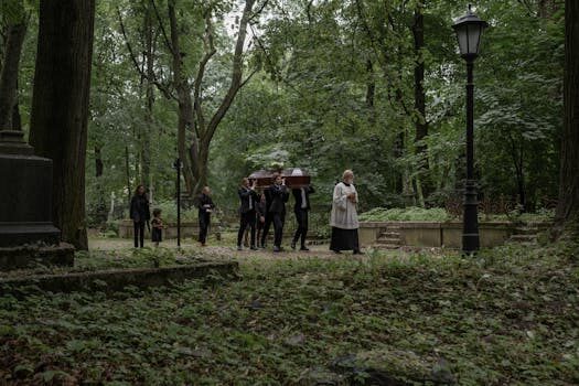 Abogados en Asesor.Legal | Asesoría legal para Cómo reclamar a Shein por aduana o retención de paquete Abogados en Asesor.Legal como reclamar a shein por aduana o retencion de paquete 4