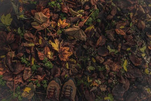 Abogados en Asesor.Legal | Asesoría legal para Cómo reclamar a Sprinter por calzado defectuoso Abogados en Asesor.Legal como reclamar a sprinter por calzado defectuoso 3