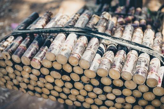 Abogados en Asesor.Legal | Asesoría legal para Cómo reclamar a Telepizza por comida en mal estado Abogados en Asesor.Legal como reclamar a telepizza por comida en mal estado 2