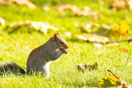 Abogados en Asesor.Legal como reclamar a uber eats por pedido no entregado 2