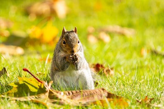 Abogados en Asesor.Legal como reclamar a uber eats por pedido no entregado 3