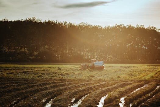 Abogados en Asesor.Legal | Asesoría legal para Cómo reclamar a Whirlpool por lavadora que no funciona Abogados en Asesor.Legal como reclamar a whirlpool por lavadora que no funciona 4