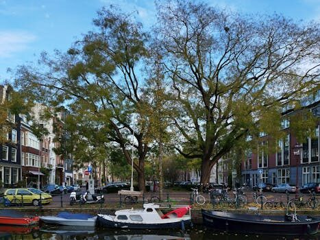 Abogados en Asesor.Legal | Asesoría legal para Cómo reclamar al seguro de coche por accidente leve Abogados en Asesor.Legal como reclamar al seguro de coche por accidente leve 4