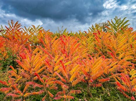 Abogados en Asesor.Legal | Asesoría legal para Cómo reclamar daños por tormentas o inundaciones Abogados en Asesor.Legal como reclamar danos por tormentas o inundaciones 3