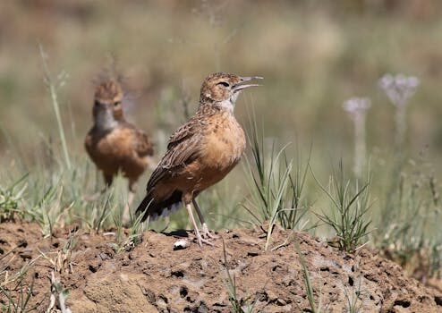 Abogados en Asesor.Legal | Asesoría legal para Cómo reclamar intereses de demora ilegales Abogados en Asesor.Legal como reclamar intereses de demora ilegales 1