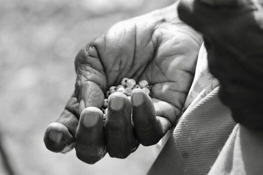 Abogados en Asesor.Legal | Asesoría legal para Costes aproximados de abogados laborales en Valencia capital para demandas por horas extras Abogados en Asesor.Legal costes aproximados de abogados laborales en valencia capital para demandas por horas extras 3