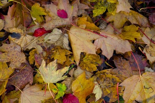 Abogados en Asesor.Legal cuanto tarda mrw en resolver un incidente 1