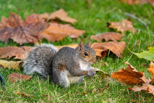 Abogados en Asesor.Legal despachos energeticos en valencia para licencias de parques solares 5