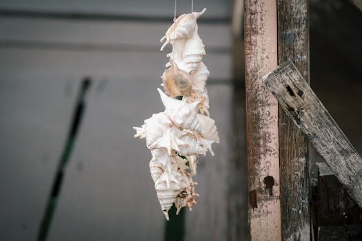 Abogados en Asesor.Legal documentos necesarios en alzira para reclamar deudas con ayuda de abogados mercantiles 3