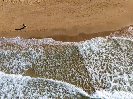 Abogados en Asesor.Legal | Asesoría legal para Efrem Casals Reig: perfil y trayectoria profesional Abogados en Asesor.Legal efrem casals reig 3