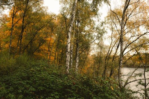 Abogados en Asesor.Legal errores comunes en reclamaciones de clausulas suelo que detectan los abogados en sagunto 1