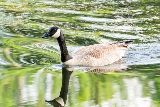 Abogados en Asesor.Legal | Asesoría legal para Falsos autónomos: cómo identificarlos y qué hacer al respecto Abogados en Asesor.Legal falsos autonomos como identificar si estas en esta situacion y que puedes hacer al respecto 3
