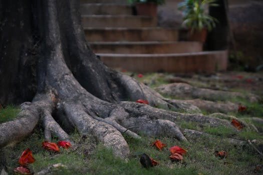 Abogados en Asesor.Legal | Asesoría legal para Guía legal para reclamar cláusulas suelo a CaixaBank Abogados en Asesor.Legal guia legal para reclamar clausulas suelo a caixabank 1