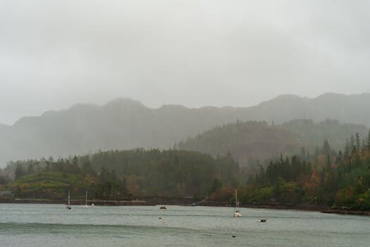 Abogados en Asesor.Legal guia para reclamar a atrapalo por viaje cancelado 1